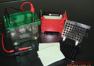 鴻濤基業(yè)化妝品加盟連鎖 開啟創(chuàng)業(yè)新篇章，火爆招商進(jìn)行中